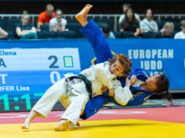 The Tatami Never Sleeps in Sarajevo